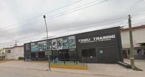 Local en Renta
