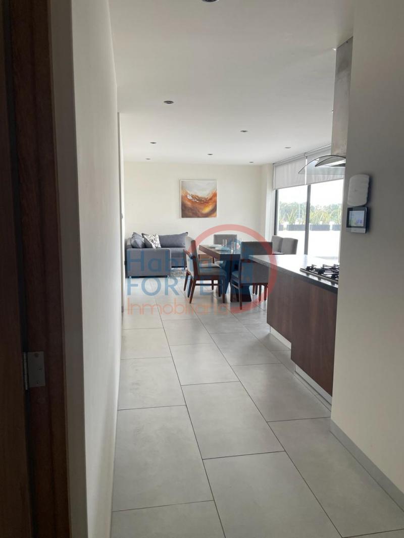 Renta de Penthouse en SAN LUIS POTOSI, DEL VALLE