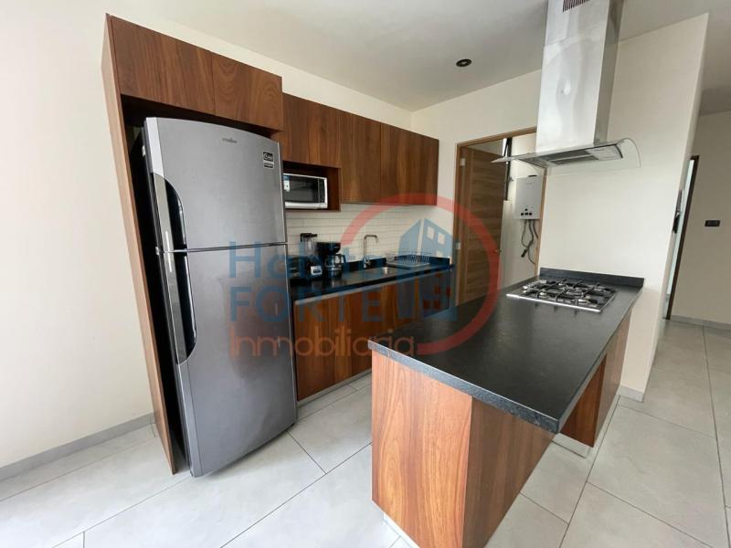 Renta de Penthouse en SAN LUIS POTOSI, DEL VALLE