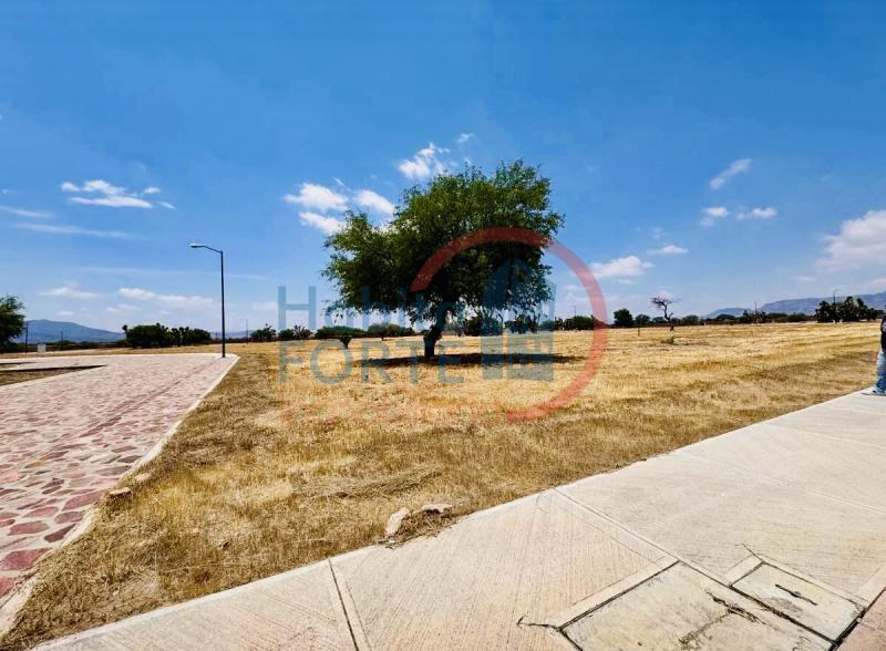 Venta de Terreno en , FRACCIONAMIENTO JESUS MARIA