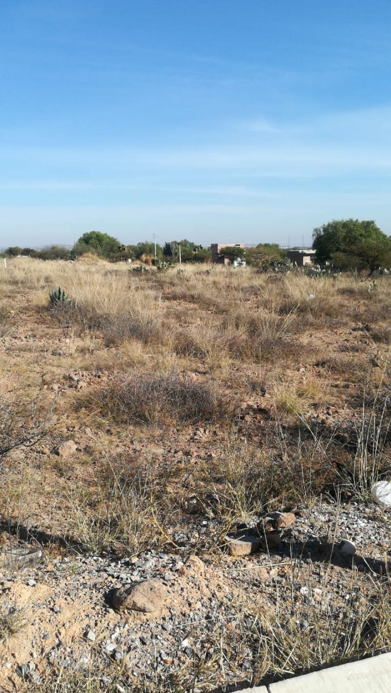 Venta de Terreno  en SAN LUIS POTOSI en CAPULINES