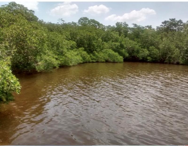 Venta de Terreno  en  en CIUDAD DEL CARMEN CAMPECHE