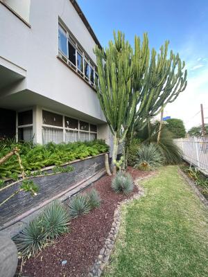 los-angeles-08