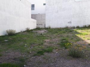 Venta de Terreno en LOMAS DEL PEDREGAL