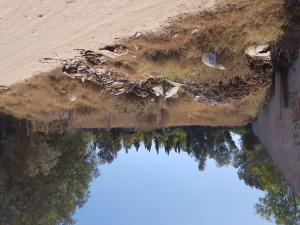 Venta de Terreno en Charquillo Saucito