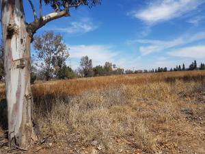 Venta de Terreno en LA PILA